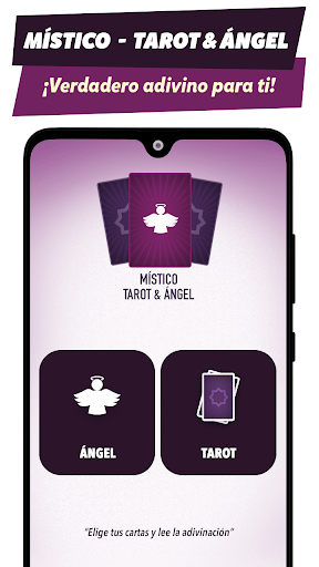 Vista previa de la aplicación