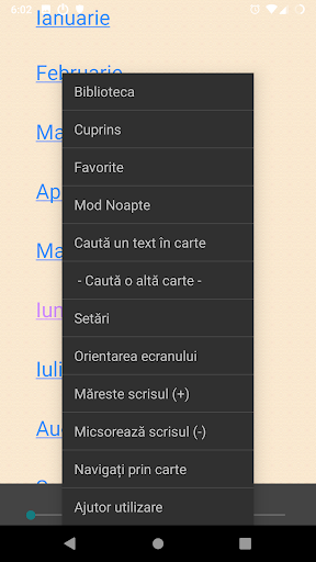 Viețile Sfinților - din seria: Screen 3