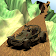 Buggy Hill Climbing Racing 3D icon
