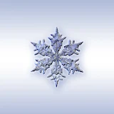 ColdSnap! Frost Alarm icon