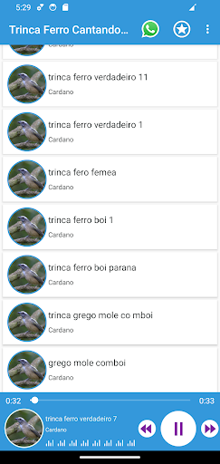 Trinca Ferro Cantando No Mato Screen 3