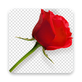Background Remover : Easy  Draw (700KB) icon