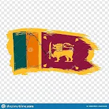Sinhala News - Sri Lanka icon