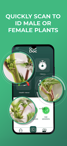 GrowDoc Cannabis Plant Doctor