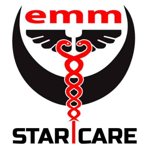 SARL EMM logo