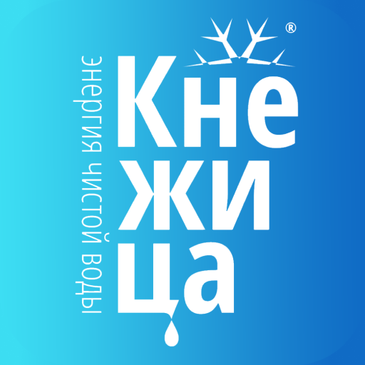 КНЕЖИЦА Архангельск logo