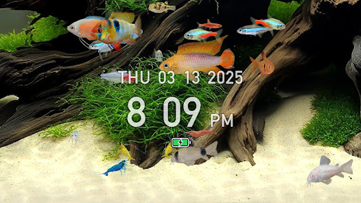 Screenshot image