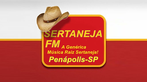Rádio Sertaneja FM Penápolis Screen 3