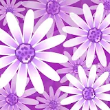 Daisy Flower Pro Live Wallpaper icon