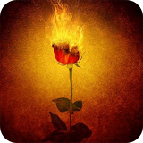 Burning rose live wallpaper icon