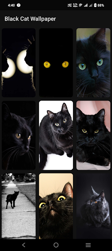 Black Cat Wallpaper Screen 3