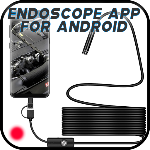 Endoscope Inspection Camera with Light for iPhone Android - WiFi Snake  Camera Sewer Pipe - USB Fiber Optic Mechanic Engine Scope - Wireless  Flexible Cell Phone Endoscopic Drain Borescope Led