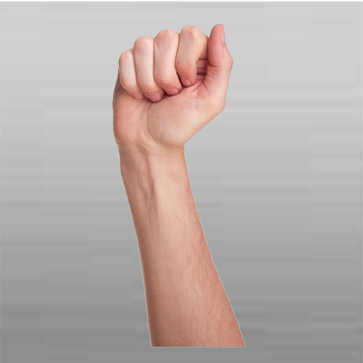 iGestural Language ASL Silver logo