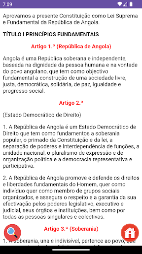 Constituição de Angola Screen 3