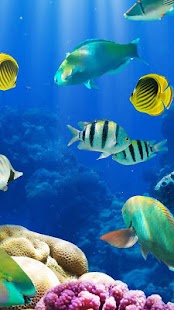 Aquarium Live Wallpaper ? Fish Tank Background  – Download for Android  and PC | PC Forecaster