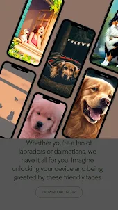 Dogs Wallpapers