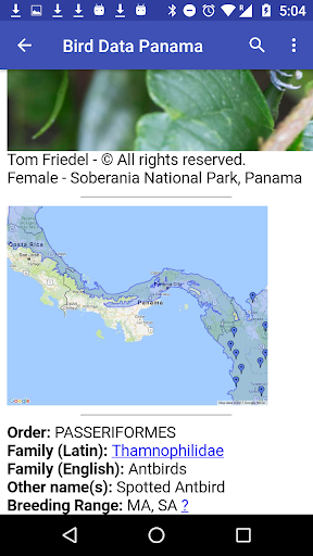 Bird Data - Panama Screen 3