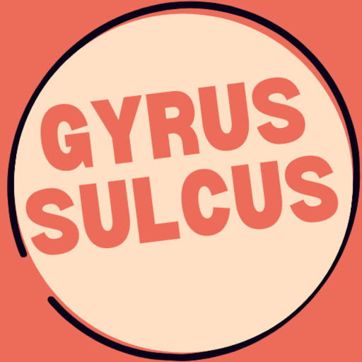 GYRUS SULCUS 1.1.1 Icon