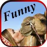 FUNNY VIDEOS : Latest Indian Comedy Clips App icon