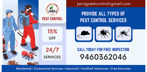 Pest Control Chittorgarh