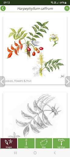 TheTreeApp SA Screen 3