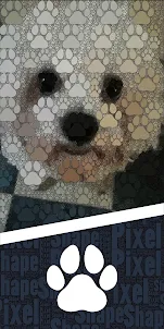 Pixel Shape