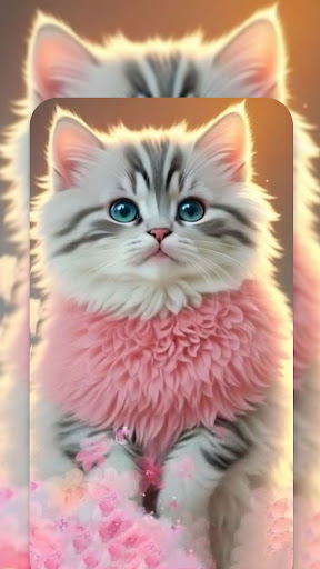 Cute Cat Live Wallpapers HD