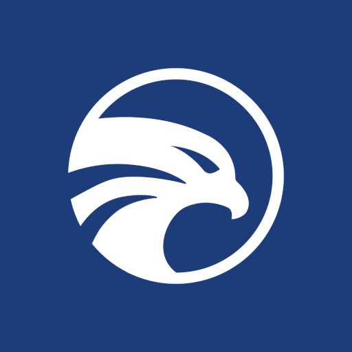Solid Falcon logo