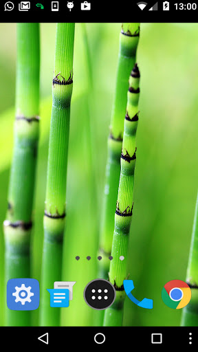 green bamboo wallpaper Screen 2