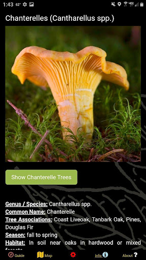 Washington SW Mushroom Forager Screen 2