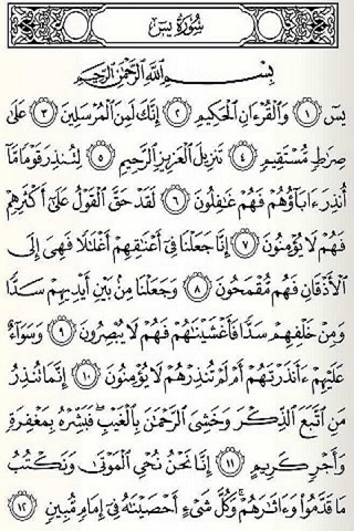 Android application Surat Yasin ~ Sederhana screenshort