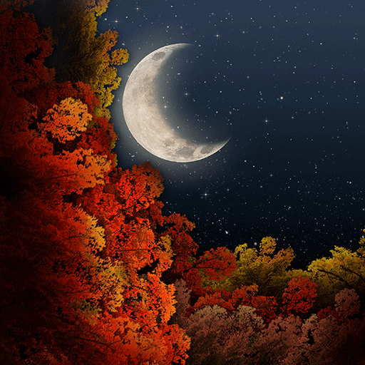 Autumn Breeze Moon - Wallpaper logo