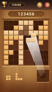 Wood Block Sudoku Game -Classic Free Brain Puzzle 3
