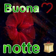 Buonanotte Fiori