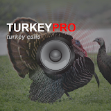 Turkey Calls - Turkey Sounds icon