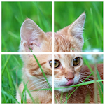 Cover Image of Descargar Cats Puzzle 3.31 APK