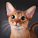 話すアビシニアン猫 - Androidアプリ