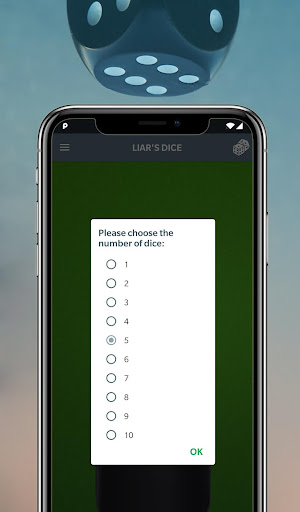 Liars Dice Screen 3