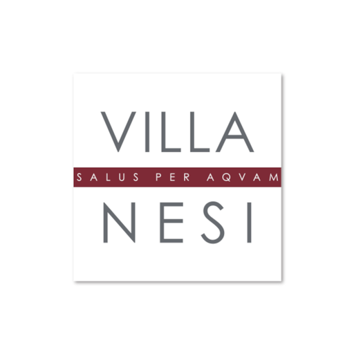 VILLANESI SPA logo