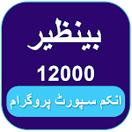 Cover Image of Download Benazir Income Support 1.0 APK