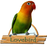 Lovebird Om icon
