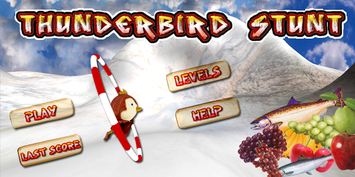 Thunder Bird 3D Stunts Screen 2