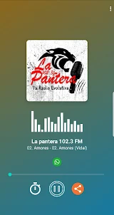 La pantera 102.3 FM