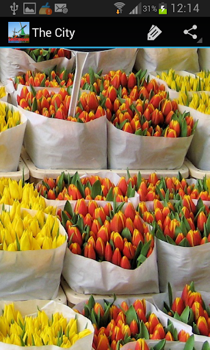 Amsterdam Wallpapers