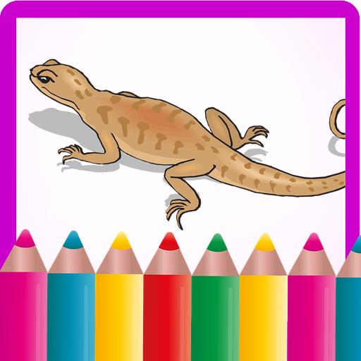 Salamander Coloring Games