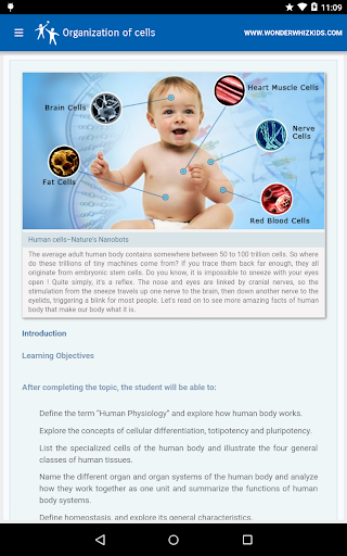 Android application Organization of cells screenshort