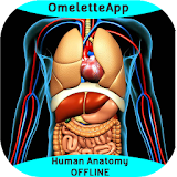 Human Anatomy - OFFLINE icon
