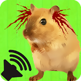 Sound Repelling Mice and Rats icon