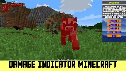 Damage Indicator for Minecraft