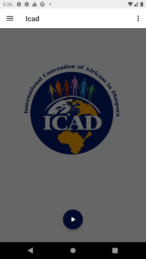 ICAD Radio Screen 2